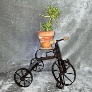 Rustic Decorative Metal Tricycle Plant Stand Wooden Seat & Handles Vintage Decor